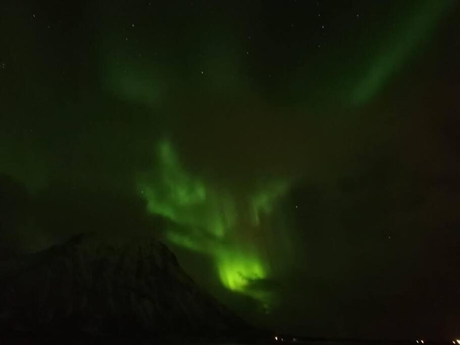 Cozy House - Stronstad @The Start Of Lofoten Stronstad i Vesteralen Bagian luar foto
